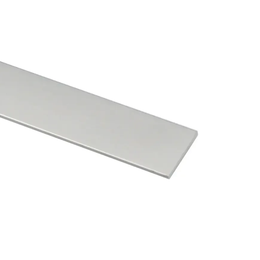 Plat profiel zilver aluminium 20x2x2000 mm