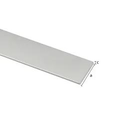 Plat profiel zilver aluminium 20x2x2000 mm
