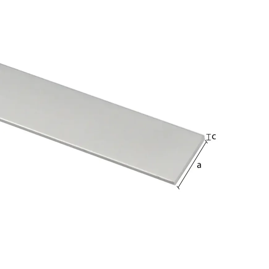 Plat profiel zilver aluminium 20x2x2000 mm