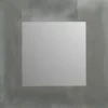 Plieger dual spiegel geborsteld aluminium 40 x 40 cm