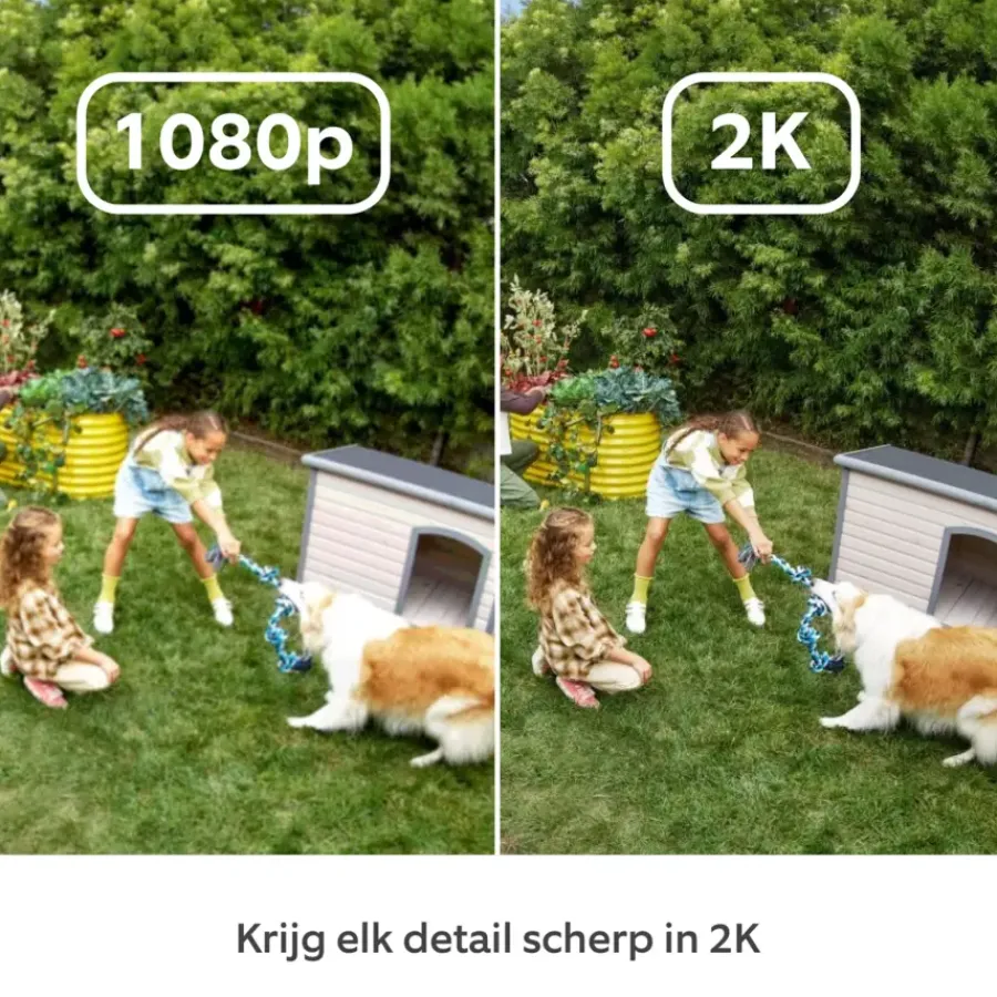 Elektronische Beveiliging > Ring Outdoor Camera Plus Plug-in Wit 2K