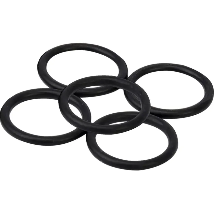 Sanivesk O-Ring 19mm-2,5mm 5 stuks
