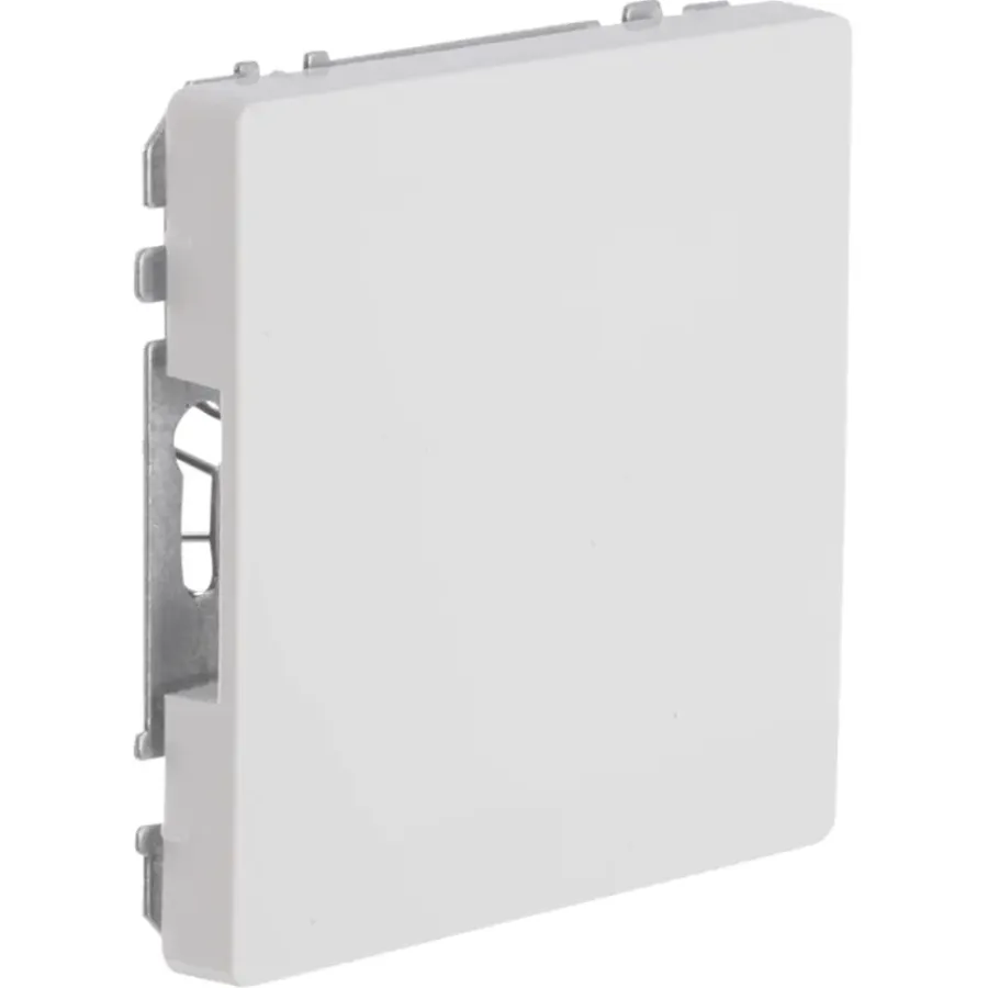 Afdekramen|Inbouw Schakelmateriaal > Schneider Electric Schneider Merten D-Life blindplaat wit