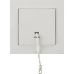 Schakelaars > Schneider Electric Schneider Merten System-M Trekschakelaar Actief Wit