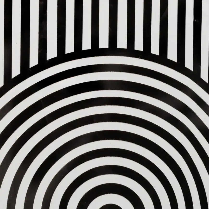 Sealskin douchegordijn brave 180x200cm zwart/wit