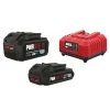 Overige Elektrisch Gereedschap Accessoires > SKIL 20V accu's 2.0 en 4.0Ah + snellader starterset