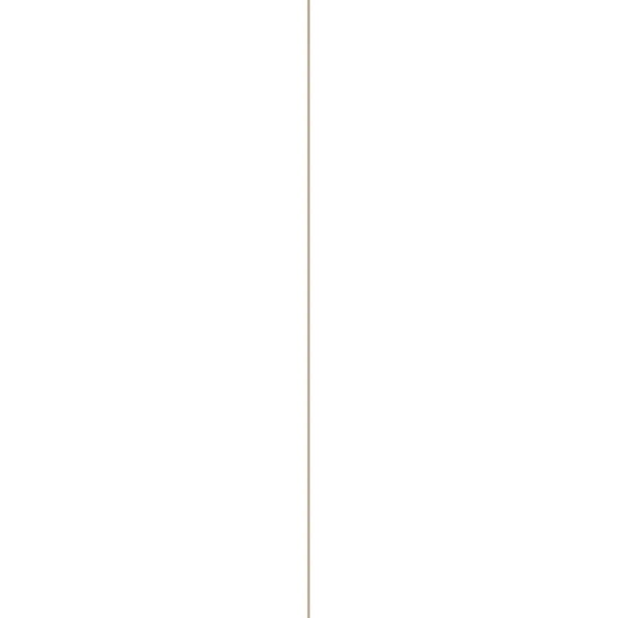 Constructieplaten|Alle Houten Platen > Storemax deurplaat frigo wit 255 x 101,5 cm 8 mm