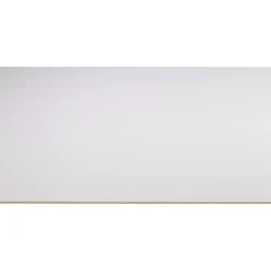 Constructieplaten|Alle Houten Platen > Storemax deurplaat frigo wit 255 x 101,5 cm 8 mm