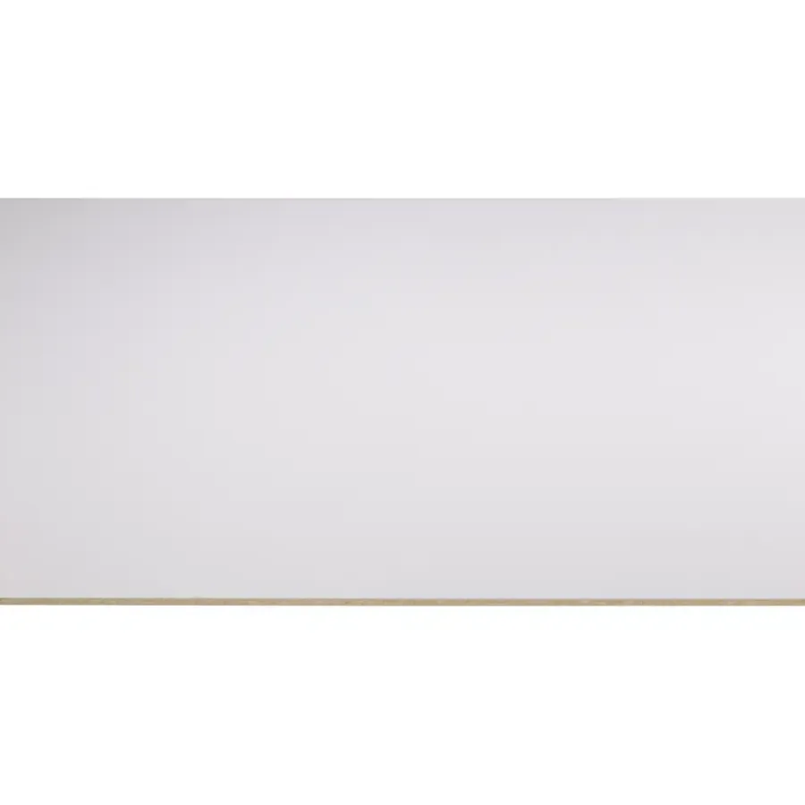 Constructieplaten|Alle Houten Platen > Storemax deurplaat frigo wit 255 x 101,5 cm 8 mm