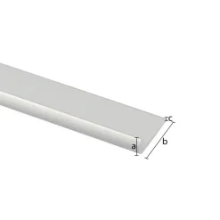 Tafelrand aluminium mat zilver 18x1000x1,5mm