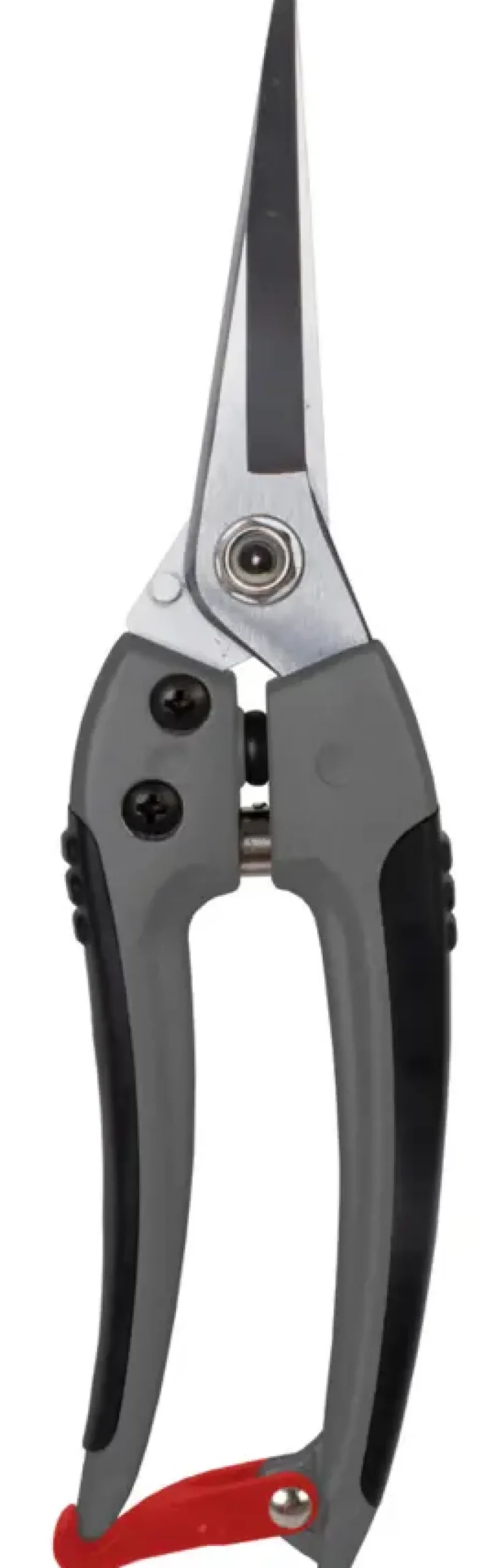 Snoeigereedschap > Talen Tools bloemenschaar