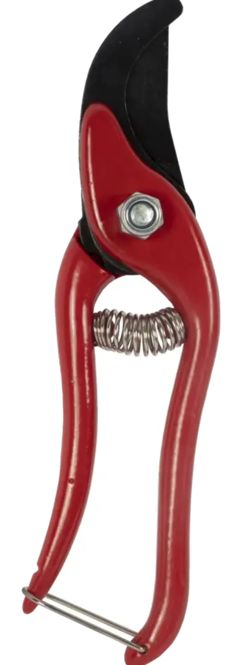 Snoeigereedschap > Talen Tools snoeischaar budget