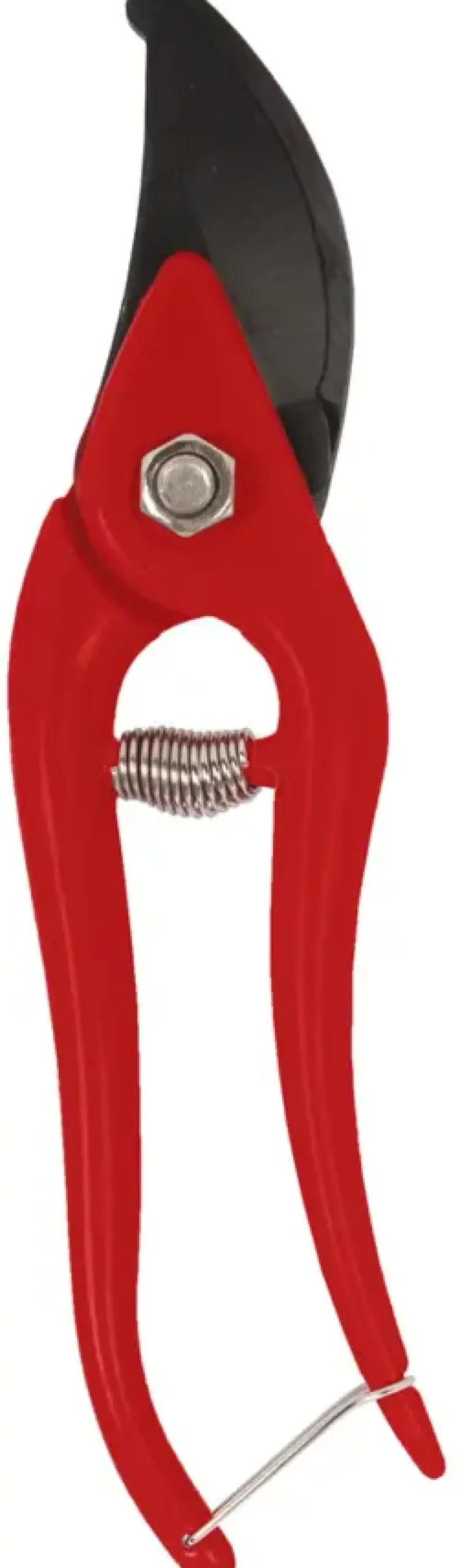 Snoeigereedschap > Talen Tools snoeischaar budget