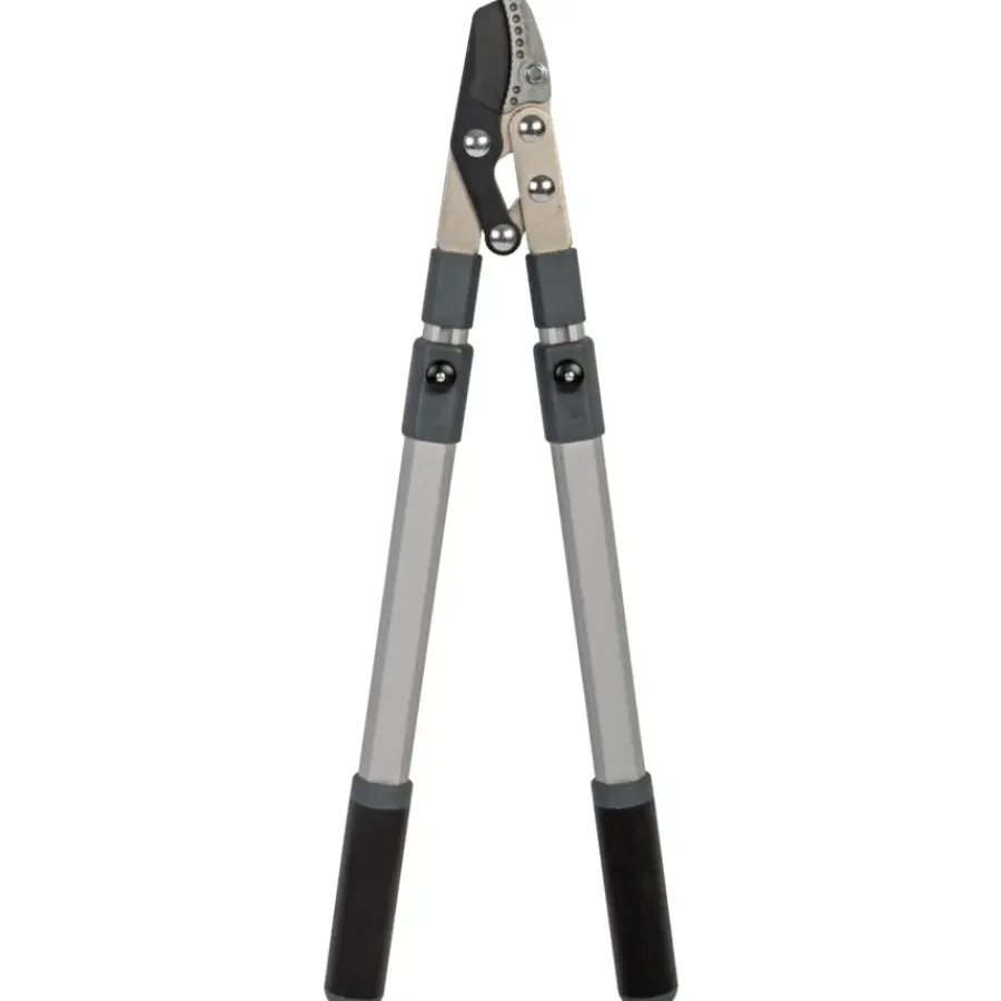 Snoeigereedschap > Talen Tools takkenschaar aambeeld telescopisch