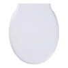 Tiger Burton wc bril verkort met softclose en quick release