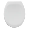 Tiger Mason wc bril wit met softclose en quick release