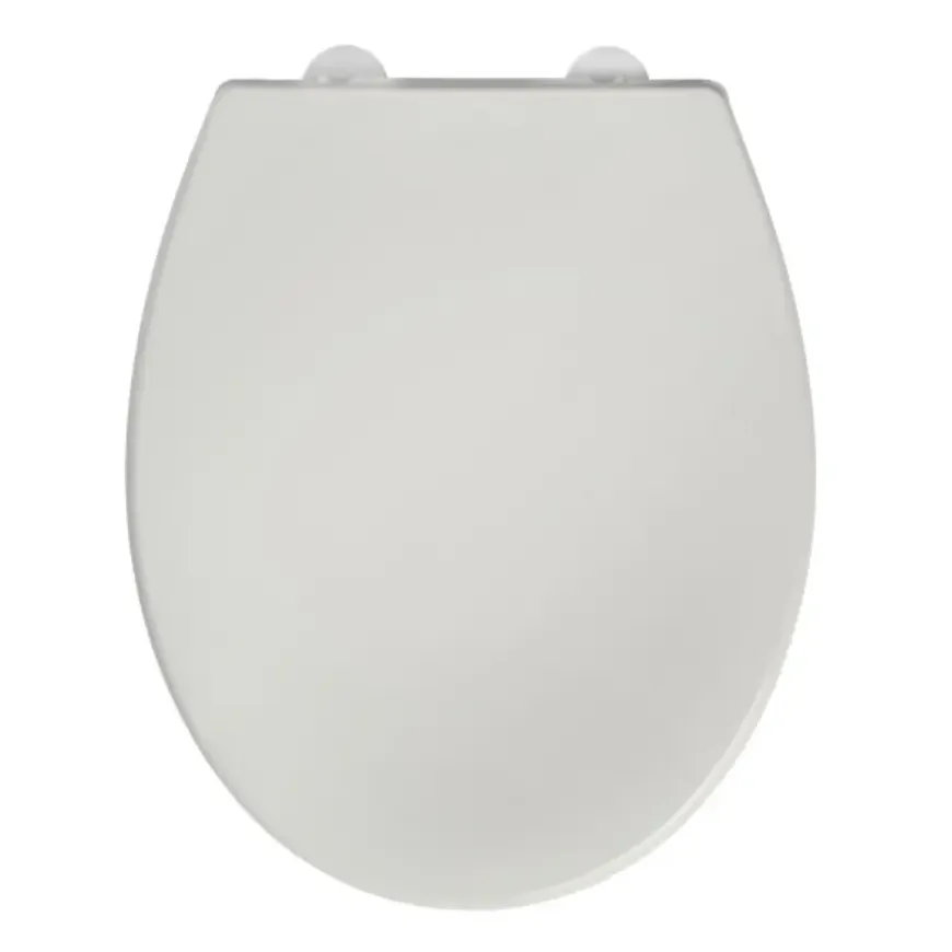 Toiletzitting Bemis Reybridge Universeel