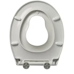 Toiletzitting Bemis Reybridge Universeel