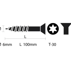 Unischroef 6x100mm torx pk vz 50st