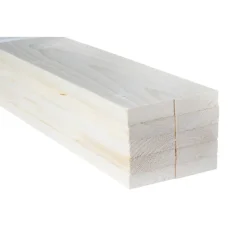 Vuren Geschaafd|Vuren Ruw > TPA Voordeelpak ruw vuren 16x50 mm 210 cm 10 stuks