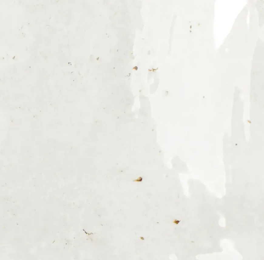 Wandtegel Fermo glanzend 12,5 cm x 12,5 cm keramiek wit 0,587 m²