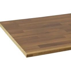 Werkbladen > Geen Werkblad ASQ28 260x80cm Noten