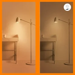 Dimmers|Smart Schakelmateriaal > WiZ Remote Control GenII EU
