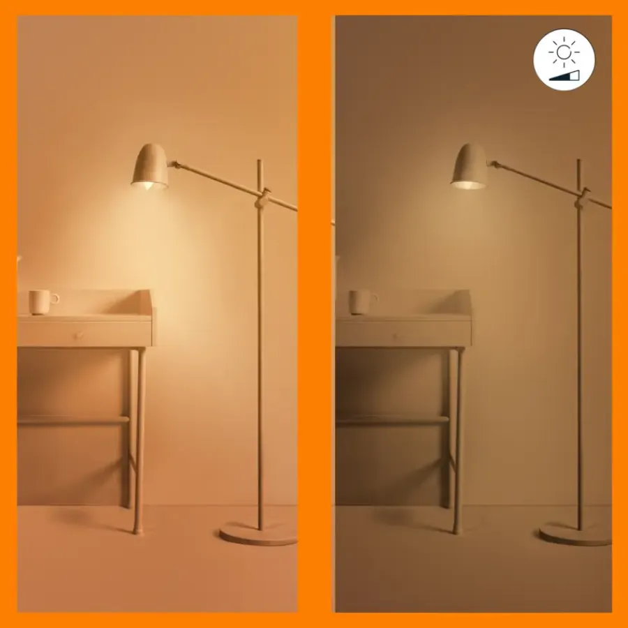 Dimmers|Smart Schakelmateriaal > WiZ Remote Control GenII EU