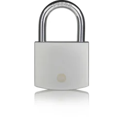 Yale Hangslot messing 60 mm mat chroom finish